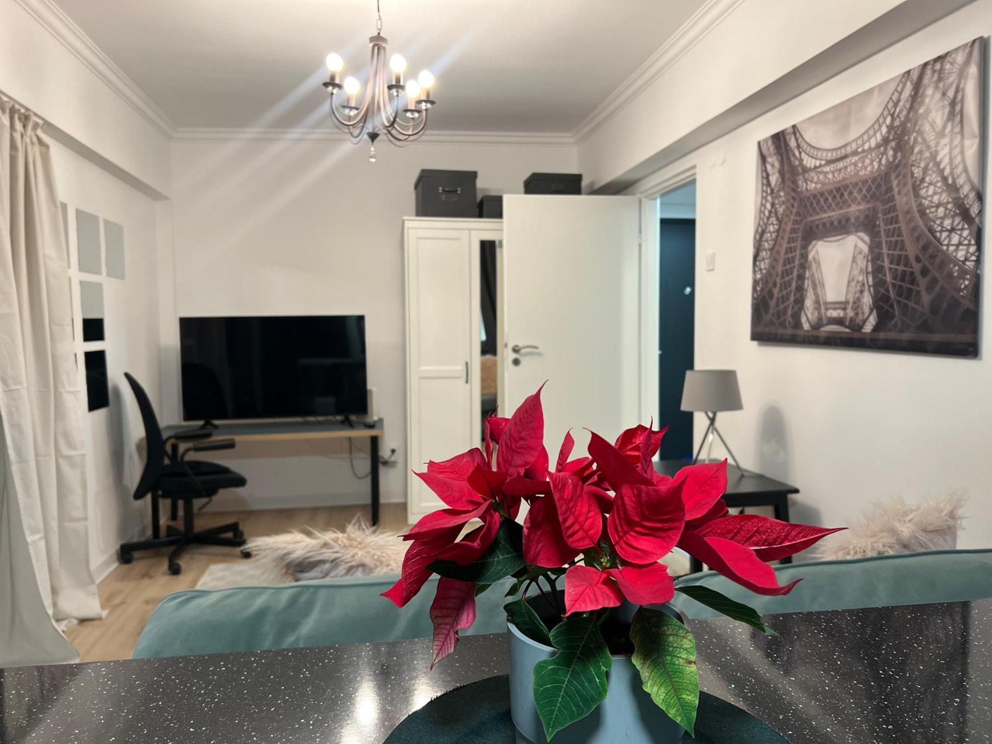 Cosy Studio Floreasca Βουκουρέστι Εξωτερικό φωτογραφία