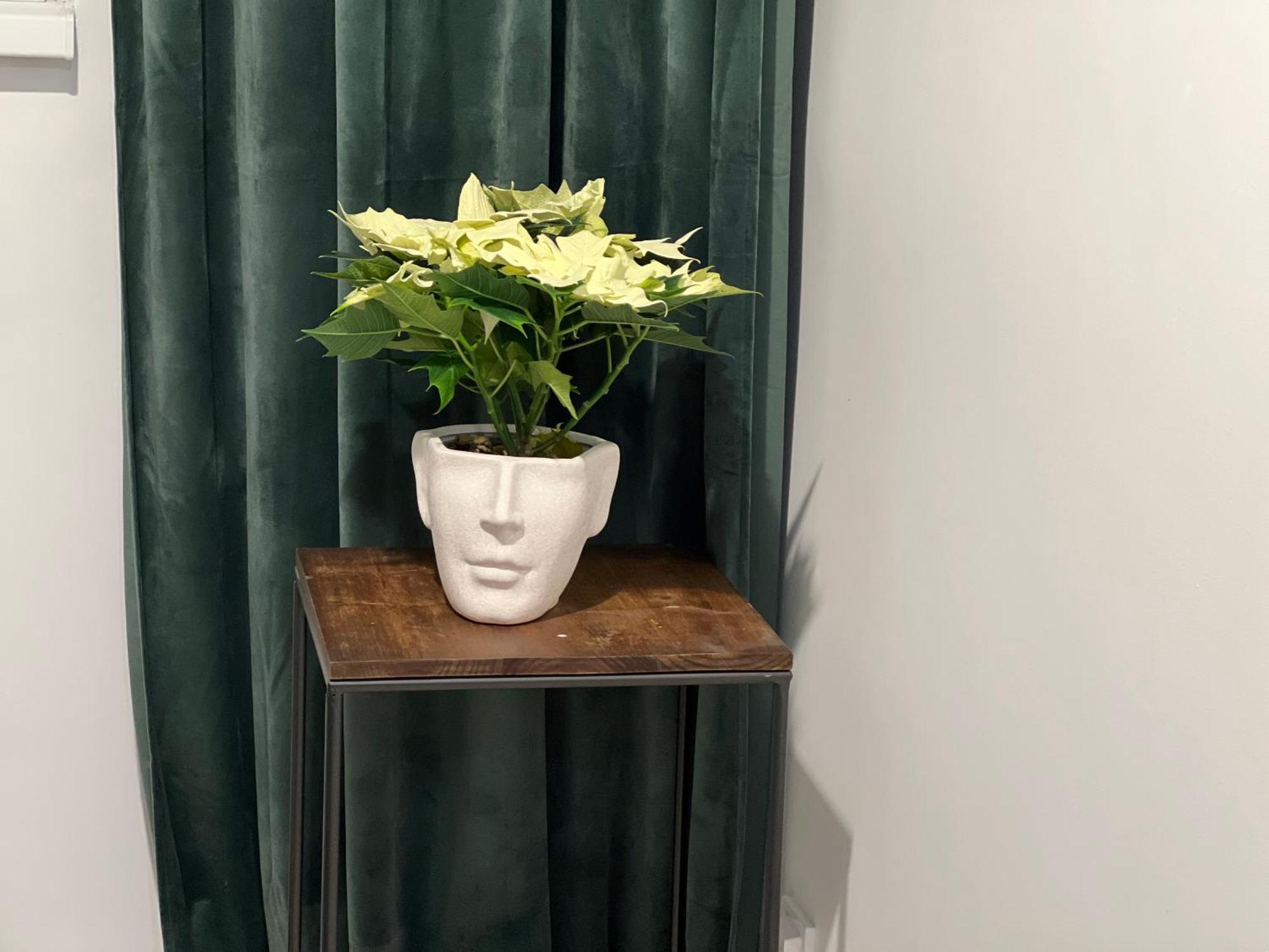 Cosy Studio Floreasca Βουκουρέστι Εξωτερικό φωτογραφία